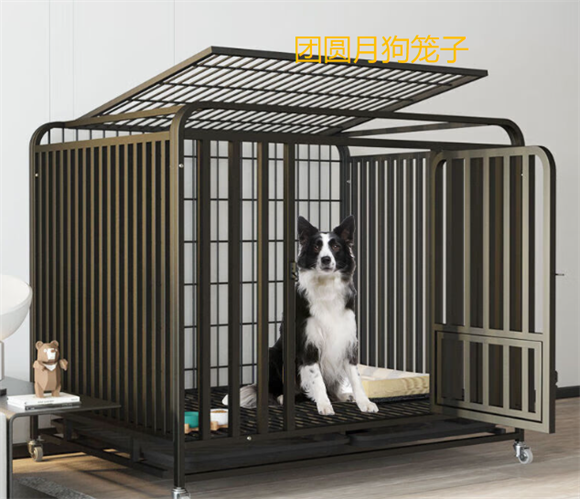 团圆月狗笼子放在家里哪个位置最好 团圆月狗笼子放在家里哪个位置最好