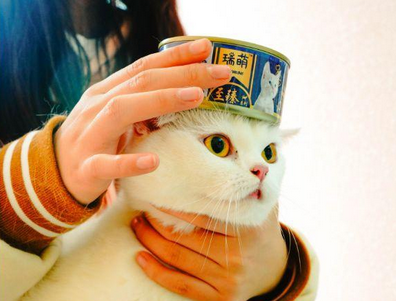 瑞萌Rymon猫罐头质量好吗
