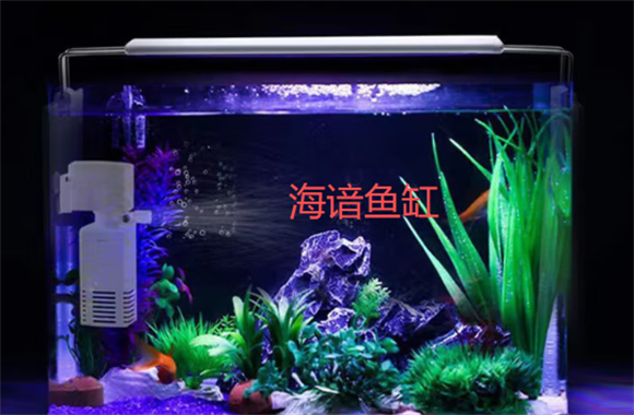 海谙鱼缸寿命一般几年