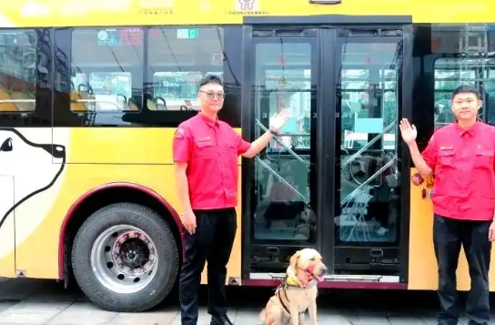 广州推进导盲犬城市融入:从挑战到合作愿景 广州推进导盲犬城市融入:从挑战到合作愿景