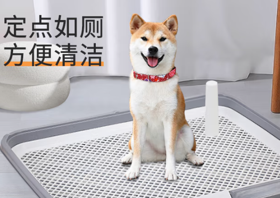 养宠必看!萌嘟星宠教你品牌狗厕所如何选择更省心 养宠必看!萌嘟星宠教你品牌狗厕所如何选择更省心