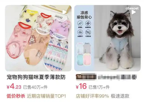 冰垫、防晒衣与剃毛争议:高温大考下,一场宠物经济与科学养宠的博弈 冰垫、防晒衣与剃毛争议:高温大考下,一场宠物经济与科学养宠的博弈