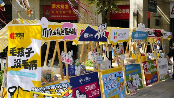 宠宠拼是哪里的品牌