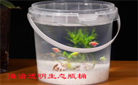 海谙透明生态瓶桶：指尖上的微型生态秘境