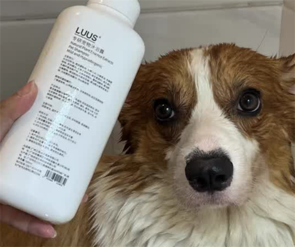 LUUS多效合一沐浴露,一瓶搞定清洁养护 LUUS多效合一沐浴露,一瓶搞定清洁养护