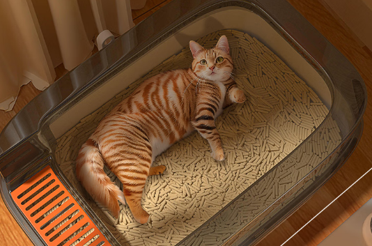 猫砂盆哪个品牌好?HELLOJOY——拒绝脏乱的安心之选 猫砂盆哪个品牌好?HELLOJOY——拒绝脏乱的安心之选