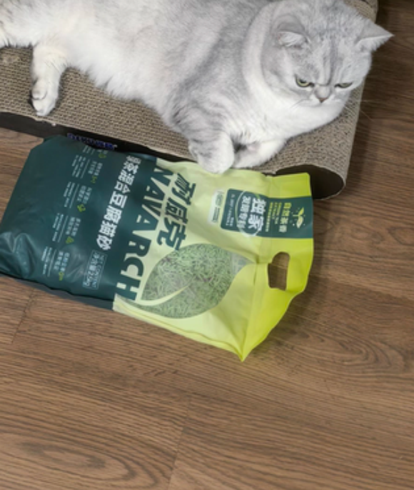 哪种类型的猫砂好?耐威克木薯猫砂凭实力成养猫家庭新宠 哪种类型的猫砂好?耐威克木薯猫砂凭实力成养猫家庭新宠