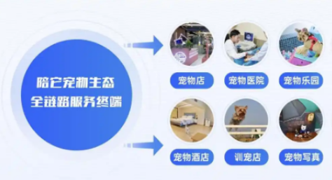 陪它智宠宠物服务有哪些 陪它智宠宠物服务有哪些