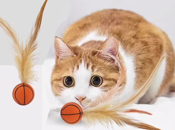 易简逗猫弹力球会被误食吗