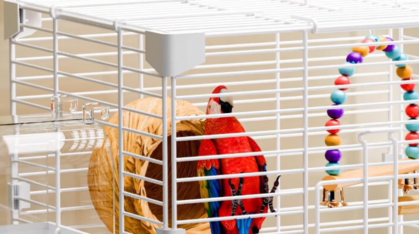 哈骆顿鸟笼子多少钱一个 哈骆顿鸟笼子多少钱一个