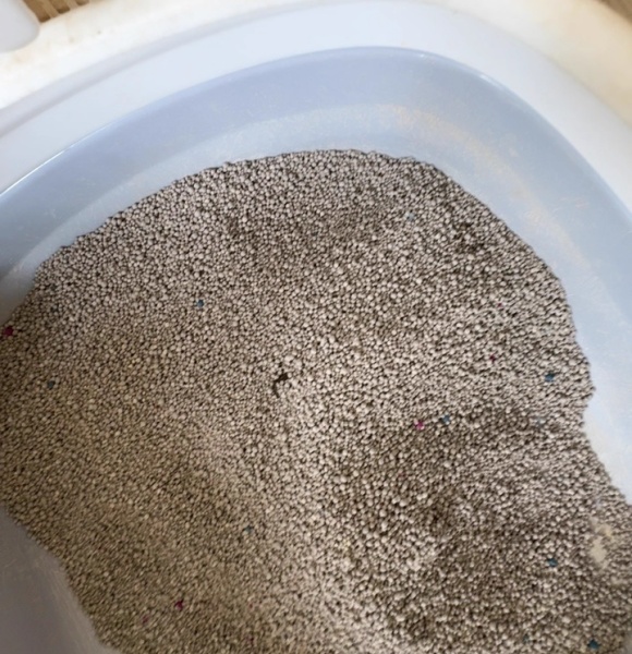 猫砂性价比推荐:实测蜻蜓岛膨润土猫砂,这几点让我果断回购 猫砂性价比推荐:实测蜻蜓岛膨润土猫砂,这几点让我果断回购