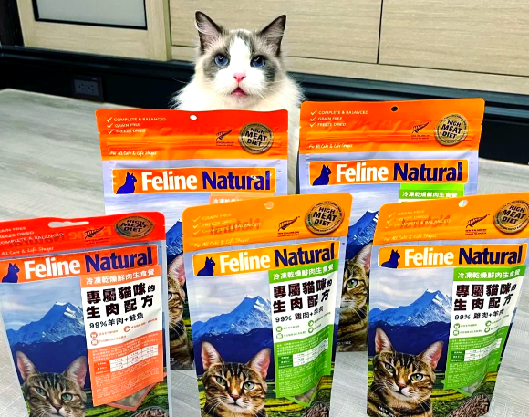 发胖猫粮推荐K9高蛋白冻干,助力“瘦猫”健康增重! 发胖猫粮推荐K9高蛋白冻干,助力“瘦猫”健康增重!