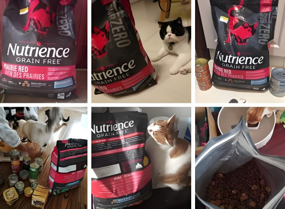 成猫粮推荐纽翠斯:实测高蛋白配方,成猫增肌美毛优选 成猫粮推荐纽翠斯:实测高蛋白配方,成猫增肌美毛优选