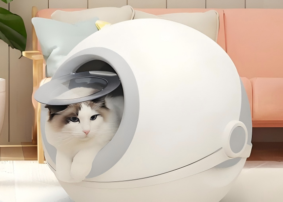 猫砂盆幼猫专用推荐喵星球，为TA特别定制的安心避风港