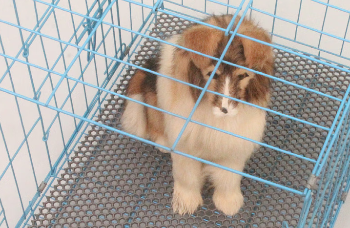 萌小宝狗笼垫：科技与匠心的结晶，重新定义笼养生活品质