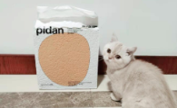 哪一种猫砂比较好？国内宠物清洁“顶流”品牌pidan，让铲屎从“灾难现场”变成“治愈日常”