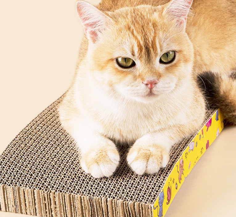橙央猫抓板有必要买吗
