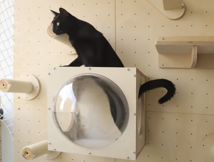 朋内猫爬架,用模块化设计,给猫咪成长型陪伴 朋内猫爬架,用模块化设计,给猫咪成长型陪伴