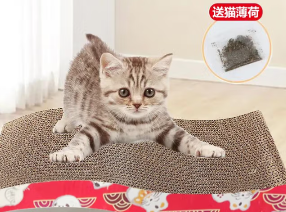 咖妃喵猫抓板可以当猫窝用吗