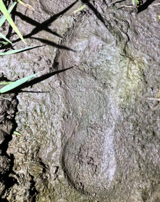 警犬“顶针”寻回九旬走失老人警民联动上演暖心救援 警犬“顶针”寻回九旬走失老人警民联动上演暖心救援