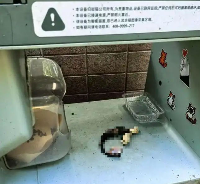 上海宝山一小区猫屋惊现猫尸残骸！运营方称正配合警方调查！