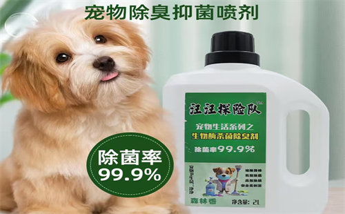 汪汪探险队