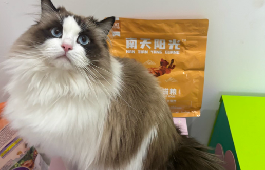 南天阳光猫粮怎么样 南天阳光猫粮怎么样