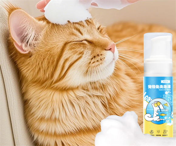 ASKME干洗泡沫可以用吗 ASKME干洗泡沫可以用吗