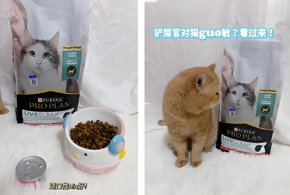 抗过敏猫粮推荐丨冠能畅抚抗过敏猫粮打造科学抗敏新方案 抗过敏猫粮推荐丨冠能畅抚抗过敏猫粮打造科学抗敏新方案
