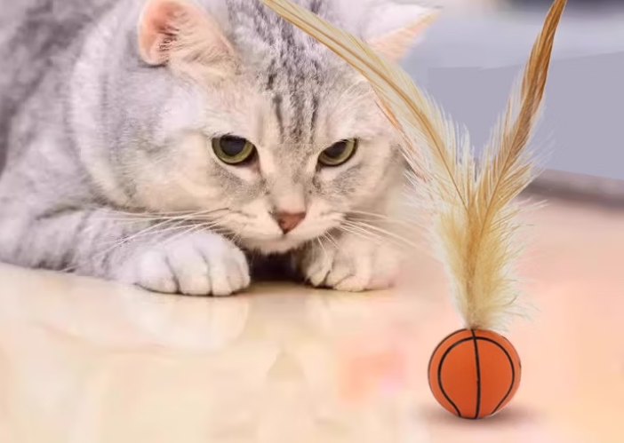 易简逗猫弹力球安全吗