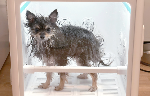 Suziria宠物品牌东西质量怎么样 Suziria宠物品牌东西质量怎么样