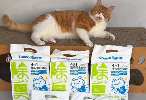 好用的猫砂推荐除臭神器!瑞梦迪混合砂让铲屎轻松变享受! 好用的猫砂推荐除臭神器!瑞梦迪混合砂让铲屎轻松变享受!
