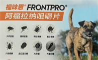 福味恩狗狗驱虫药：高能防护，让爱犬远离寄生虫困扰