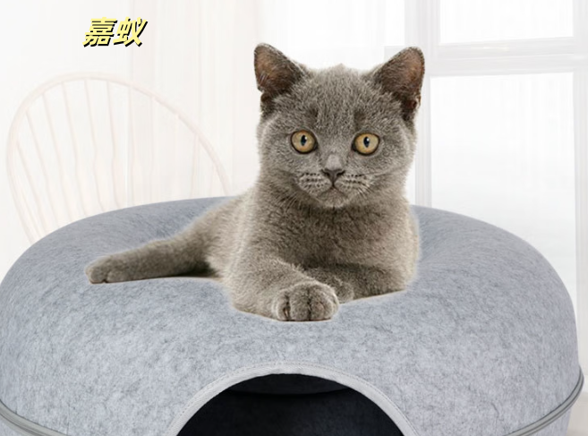 嘉蚁猫窝:温暖与舒适的港湾 嘉蚁猫窝:温暖与舒适的港湾