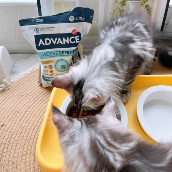 好的不油的猫粮如何选?ADVANCE爱旺斯低脂减肥粮实测推荐 好的不油的猫粮如何选?ADVANCE爱旺斯低脂减肥粮实测推荐