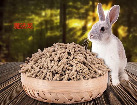 魔法龙是杂牌子吗 魔法龙是杂牌子吗