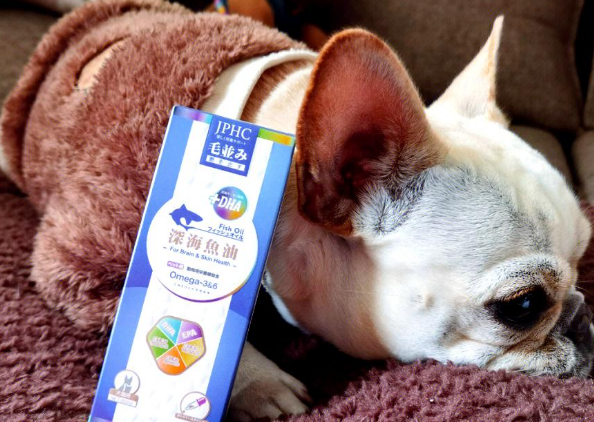 JPHC深海鱼油：宠物健康新选择