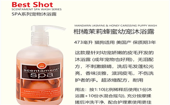 BestShot柑橘茉莉蜂蜜幼宠沐浴露:幼宠洗护新选择 BestShot柑橘茉莉蜂蜜幼宠沐浴露:幼宠洗护新选择