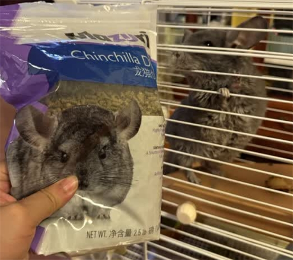 守护龙猫健康每一刻,MAZURI龙猫粮的科学呵护 守护龙猫健康每一刻,MAZURI龙猫粮的科学呵护