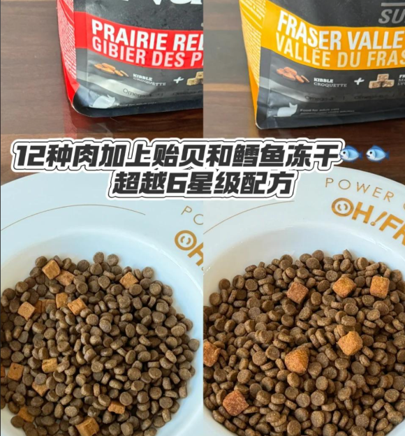 粗纤维猫粮有哪些?纽翠斯黑钻系列实力霸榜,消化美毛双效合璧! 粗纤维猫粮有哪些?纽翠斯黑钻系列实力霸榜,消化美毛双效合璧!