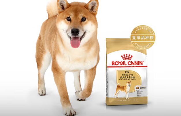 柴犬狗粮品牌排行榜推荐:皇家——专为柴犬定制的营养方案 柴犬狗粮品牌排行榜推荐:皇家——专为柴犬定制的营养方案