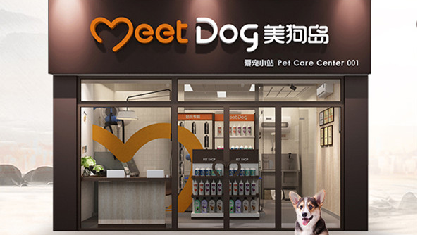 美狗岛提供哪些宠物服务