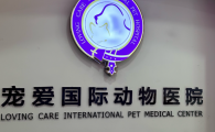宠爱国际：以专业铸就口碑，用匠心守护生命