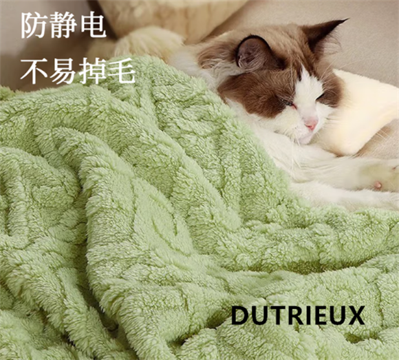 DUTRIEUX宠物毛毯:双面加绒保暖,猫狗通用的舒适之选 DUTRIEUX宠物毛毯:双面加绒保暖,猫狗通用的舒适之选