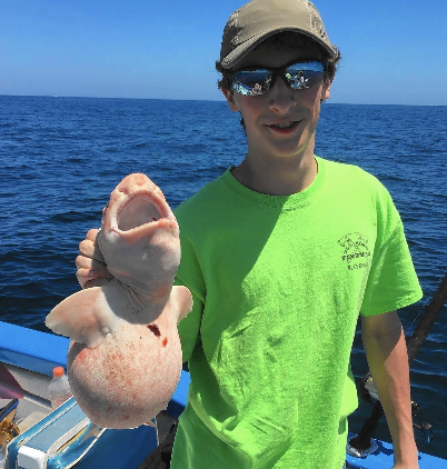 男子海上钓上一条“派大星”怪鱼,结果瞬间后悔了 男子海上钓上一条“派大星”怪鱼,结果瞬间后悔了