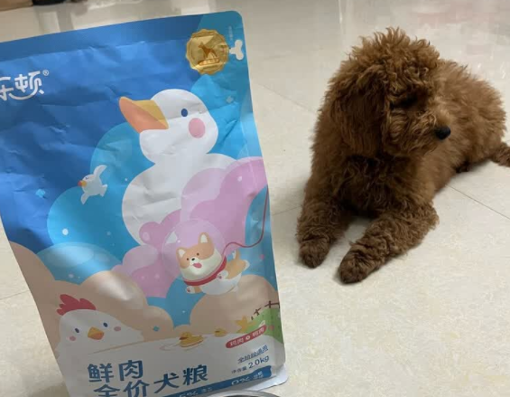 柯基平价狗粮推荐乐顿,高鲜肉含量,让狗狗吃个爽 柯基平价狗粮推荐乐顿,高鲜肉含量,让狗狗吃个爽