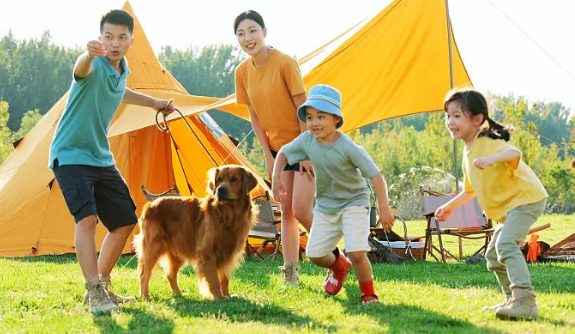 宠物经济“出圈”:情感需求与产业升级的双向奔赴 宠物经济“出圈”:情感需求与产业升级的双向奔赴