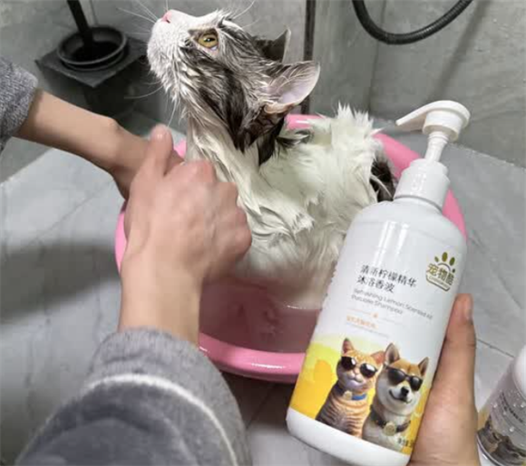宠物酷沐浴露最建议买吗 宠物酷沐浴露最建议买吗