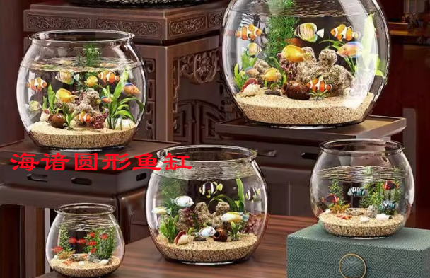 海谙圆形鱼缸：简约设计中的自然美学