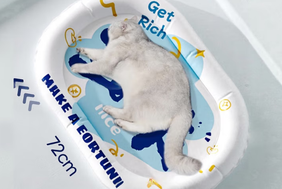阿柴与猫宠物冰垫里的凝胶有害吗 阿柴与猫宠物冰垫里的凝胶有害吗